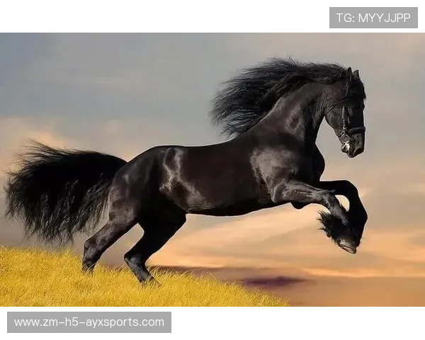 逆袭“黑马王”实现欧洲逆转奇迹,黑马逆袭是什么意思 逆袭“黑马王”实现欧洲逆转奇迹,黑马逆袭是什么意思